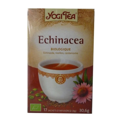 Foto van Yogi tea echinacea 17st via drogist