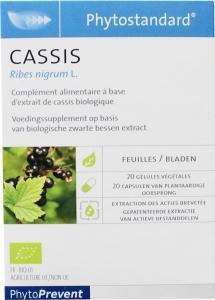 Phytostandard zwarte aalbes/cassis 20ca  drogist