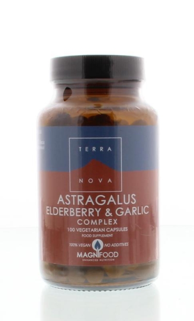 Foto van Terranova astragalus elderberry & garlic complex 100ca via drogist