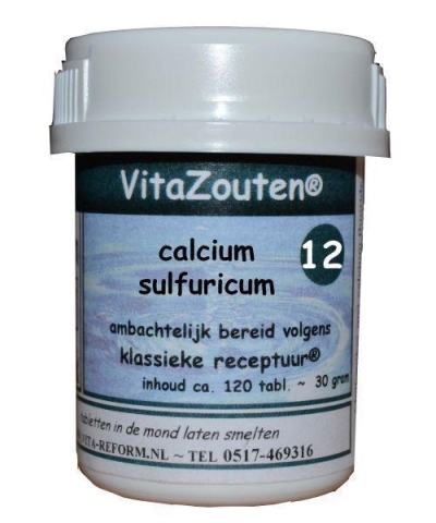 Vita reform van der snoek calcium sulfuricum vitazout nr. 12 120tab  drogist