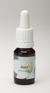 Star remedies aster 10ml  drogist