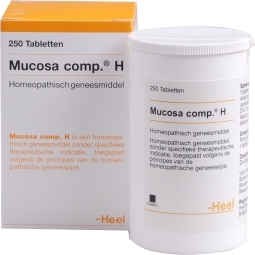 Heel mucosa compositum h 250tab  drogist