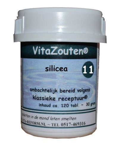 Foto van Vita reform van der snoek silicea celzout 11/12 120tab via drogist