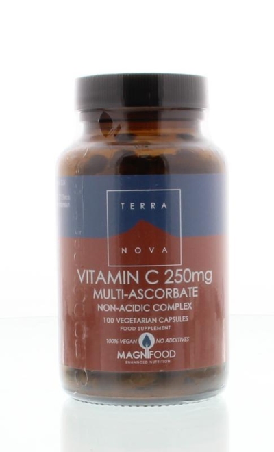 Foto van Terranova vitamine c 250 mg complex 100ca via drogist