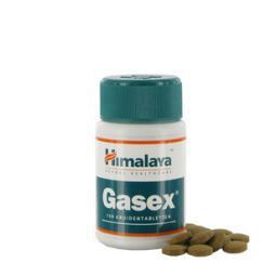 Holisan gasex 100 tabletten  drogist