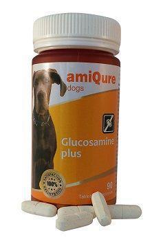 Foto van Amiqure hond glucosamine big size 90tab via drogist