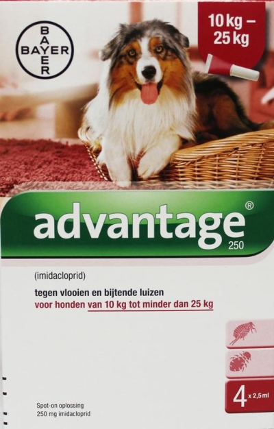 Foto van Advantage hond 250 bestrijding vlo 4st via drogist