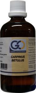 Foto van Go carpinus betulus 100ml via drogist