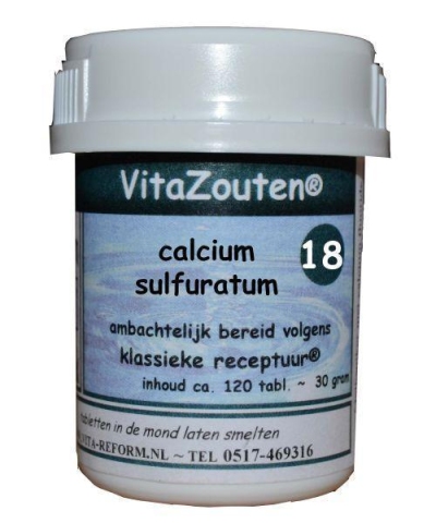 Vita reform van der snoek calcium sulfuratum vitazout nr. 18 120tb  drogist