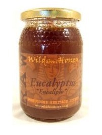 Foto van Wild about honey honey eucalyptus 500gr via drogist
