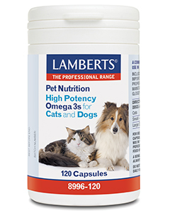 Foto van Lamberts omega 3 voor dieren hond en kat 120ca via drogist