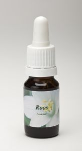 Foto van Star remedies roos 10ml via drogist