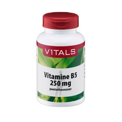 Foto van Vitals vitamine b5 pantotheenzuur 250 mg 100cap via drogist